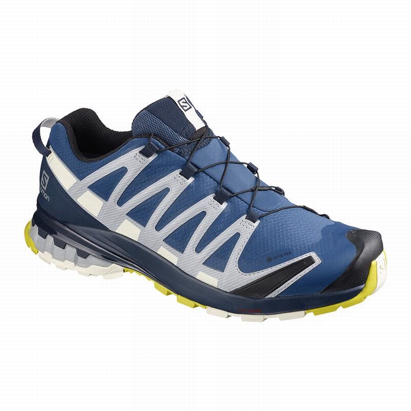 Salomon XA PRO 3D V8 GORE-TEX Zapatillas Trail Running Hombre - Azul Marino - Colombia (62870-IQOY)